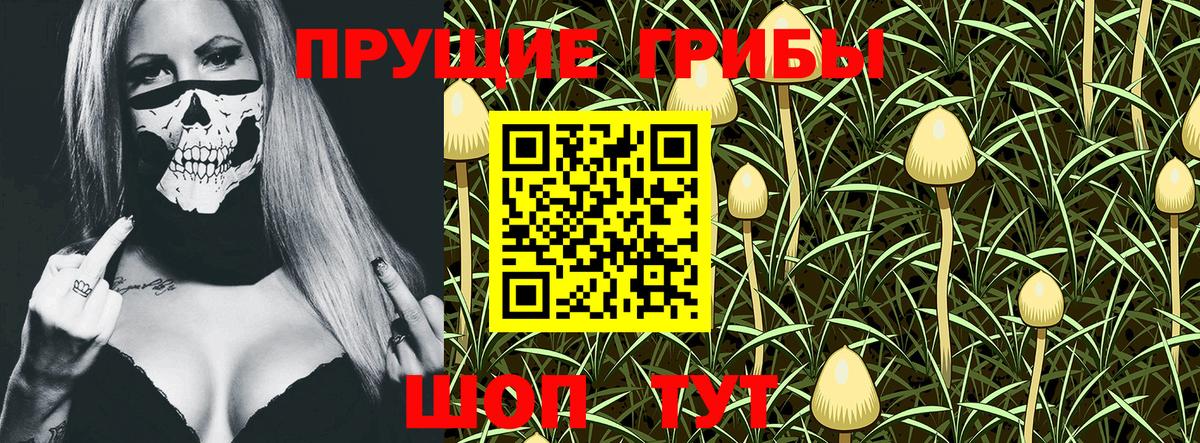 Псилоцибиновые грибы GOLDEN TEACHER  купить наркоту  Соликамск  Вход с VPN 